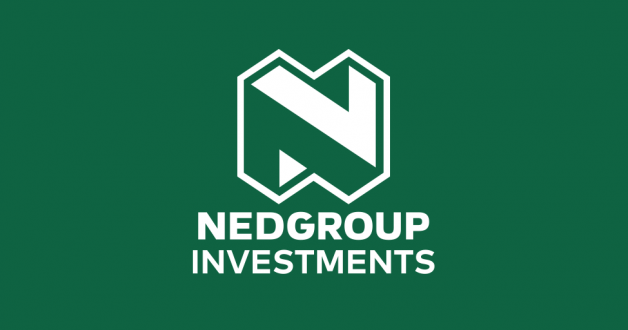Nedgroup Investments Funds Global EM Equity D GBP